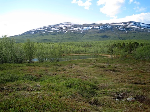 Abisko Juni 2009 dag 3 - 25.jpg